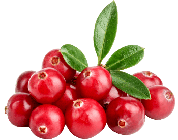 Cranberries